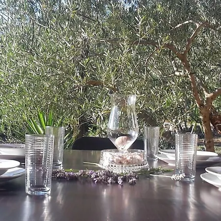 Villa Olives Milna (Brac)